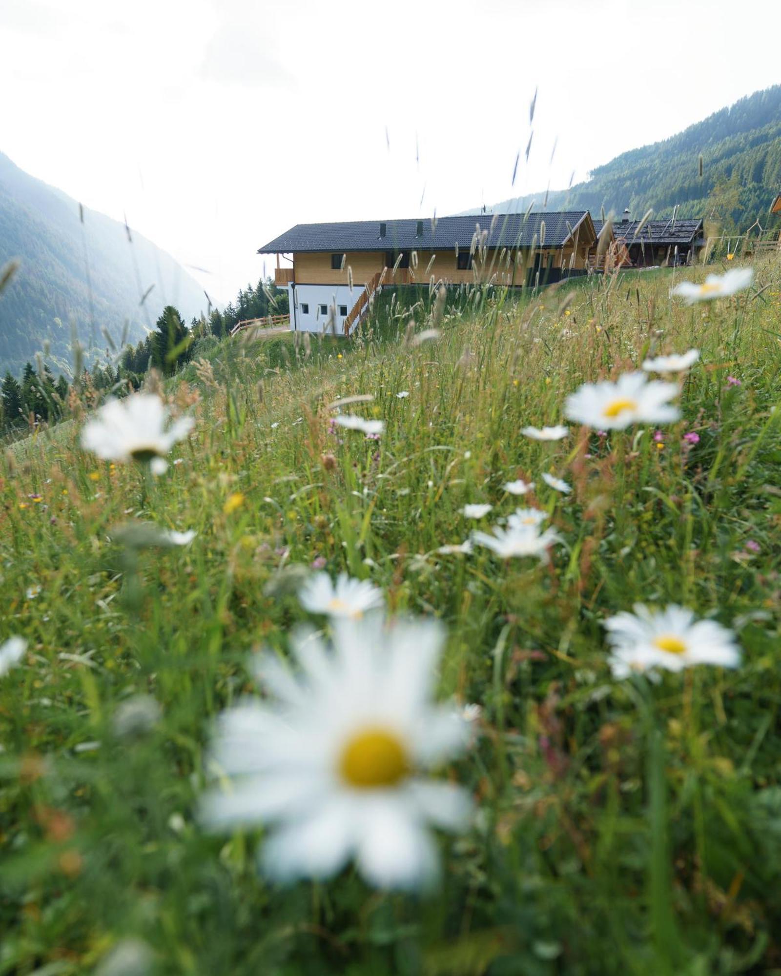 רצ'ינס Blosegghof Bergchalets Waldblick מראה חיצוני תמונה